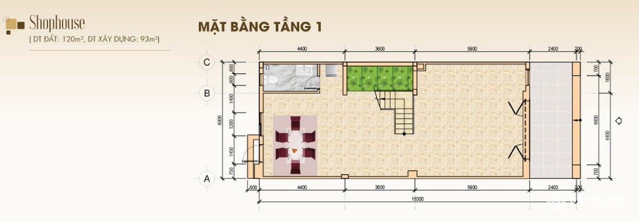 Shophouse Tầng 1